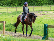 CH290522-52 - Charlie Hills Stable Visit